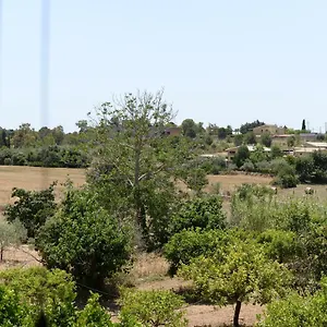 Casa vacanze Casa Vacanza Passiflora, Noto